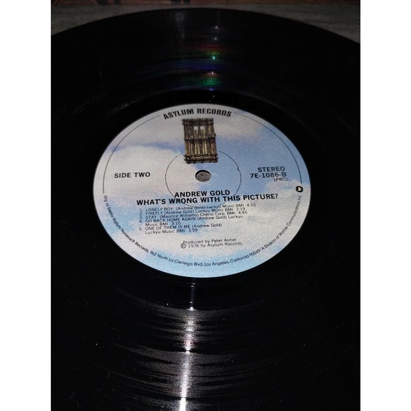Andrew Gold - What's Wrong with This Picture Vinyl Record 1976, Asylum, 7E-1086 - Picture 5 of 6